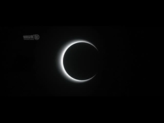 Portone ottico della barriera di velocità dell'edificio per uffici del cancello girevole del portone di velocità di AC100-240V